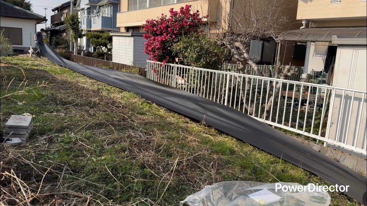 コスパ最高の