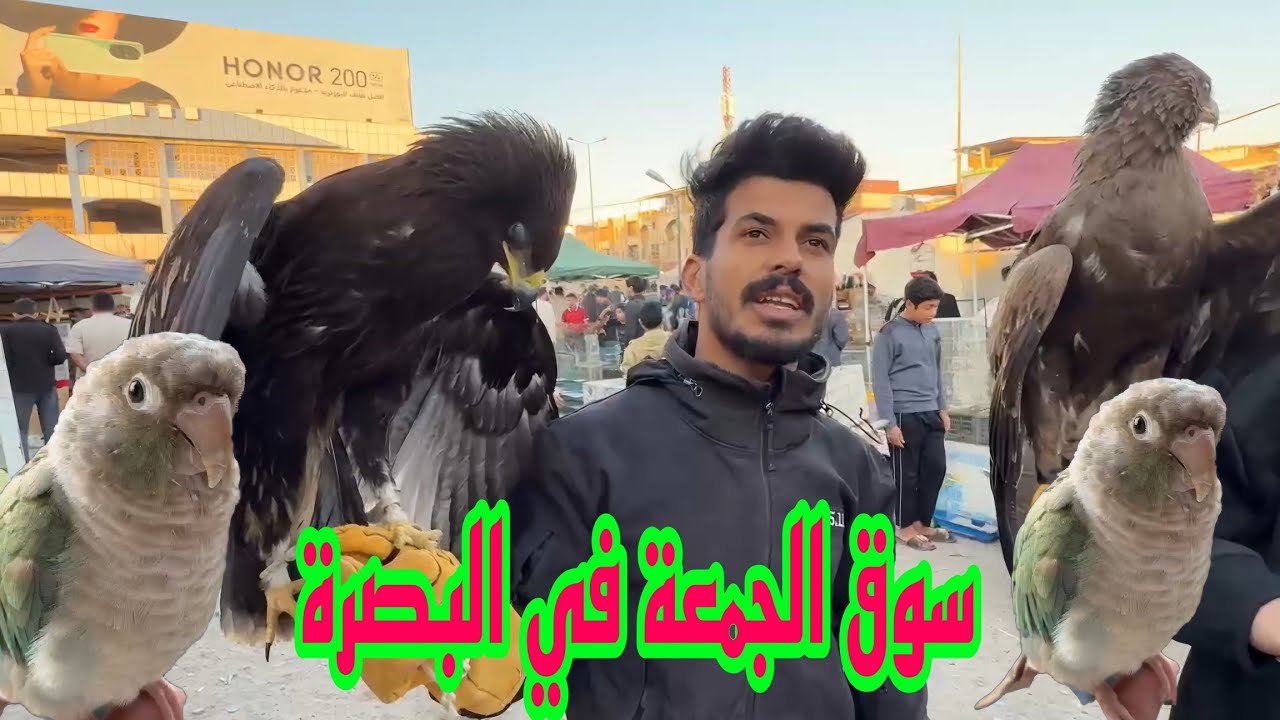 سوق الجمعة في البصرة القديمة سوق الطيور مع تحيات اخوكم#أحمد_مهدي