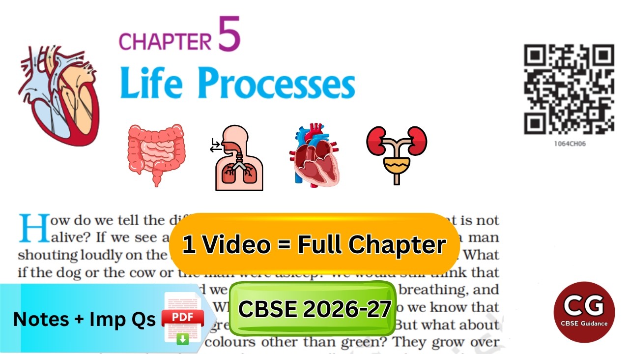 Life Processes Class 10: NCERT Edition Explained! (One Shot Video)