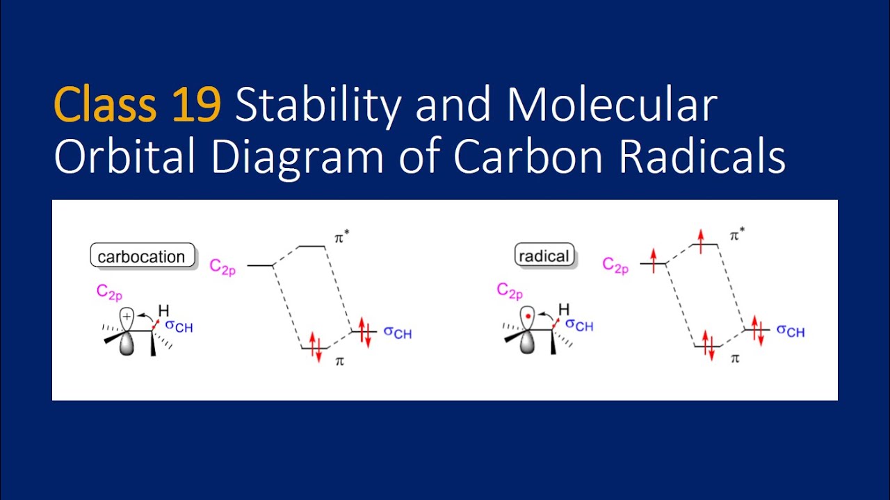 Stability & Molecular Orbital Diagram of Carbon Radicals
