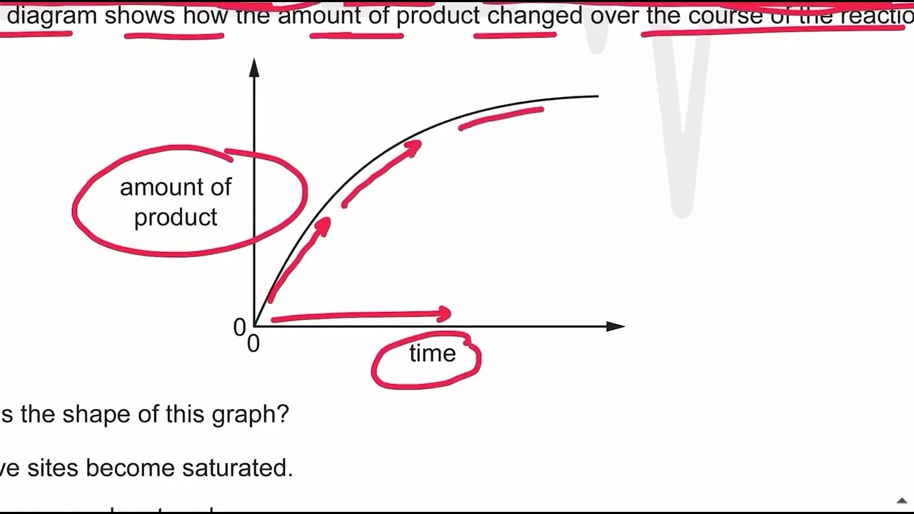 Enzymes topical past papers paper 1 (part 1) - AS Level Biology