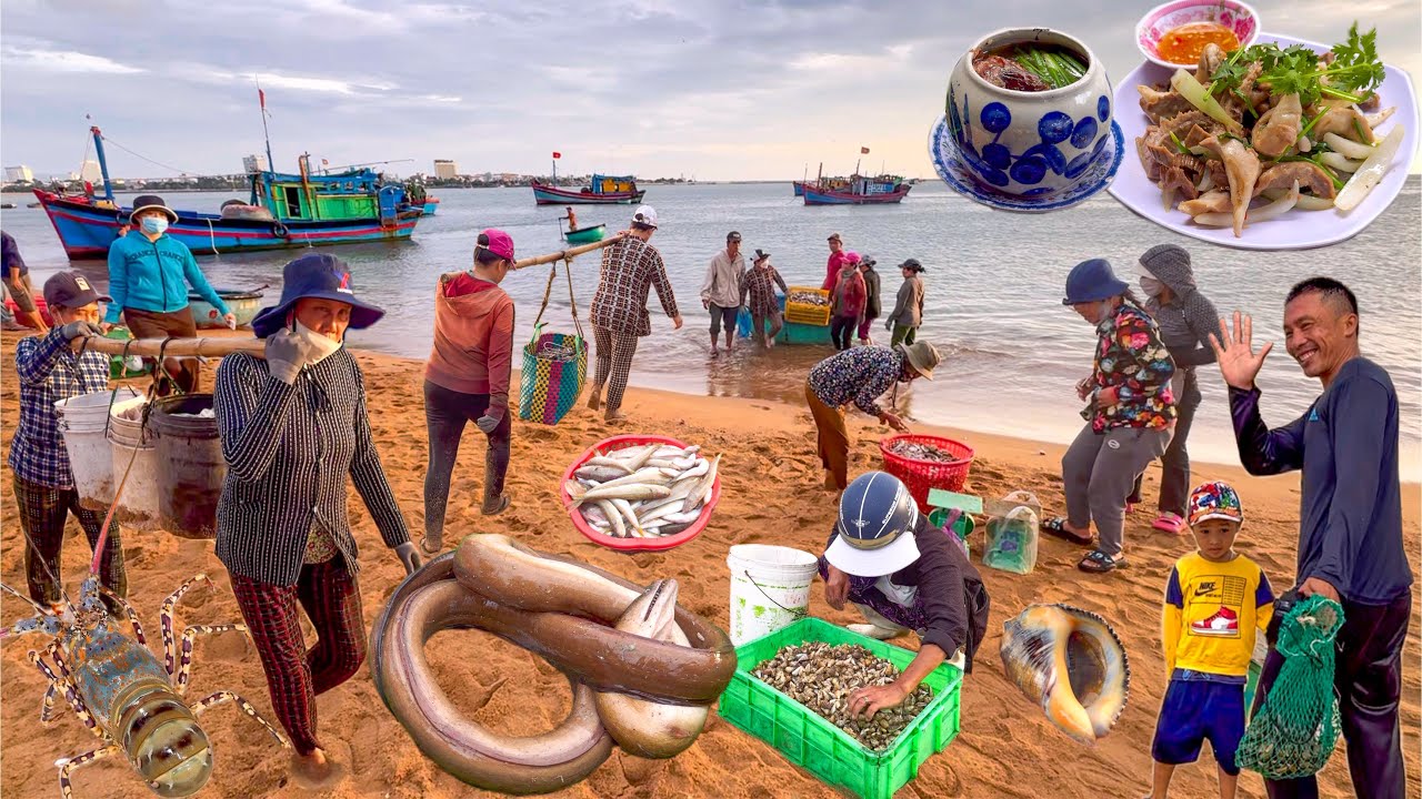 Gặp Cá Lị Cửa Đà Rằng Tuy Hoà | Mũi Đại Lãnh Chữ S Việt Nam