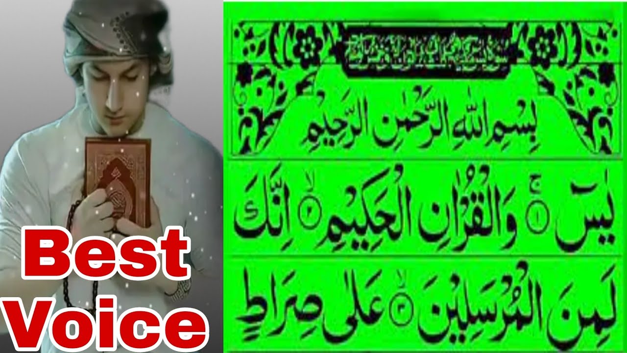 Yasin Reaction Tilawat | Heart Touching Tilawat | Full Trending Tilawat | Translate Yasin 