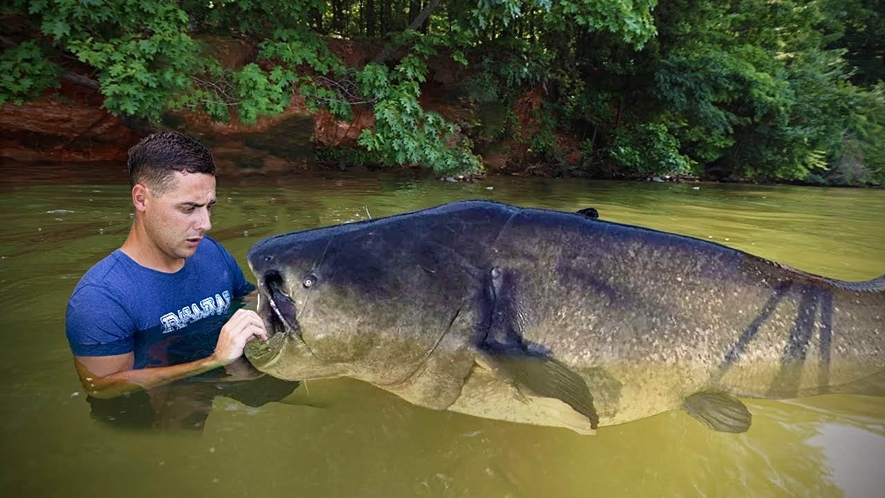 I Caught A Monster Fish With My Hands