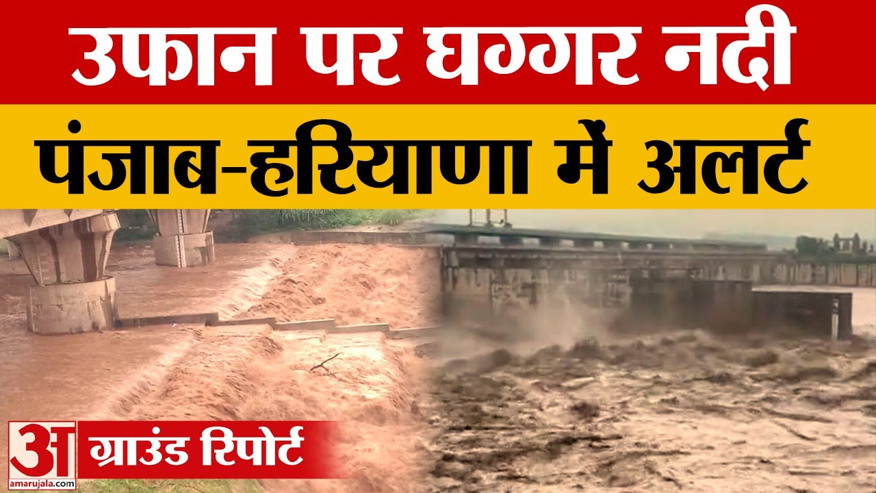 Haryana News: Ambala में उफान पर Ghaggar नदी, देखिए कैसी है स्थिति |Flood News|Hindi News|amar ujala
