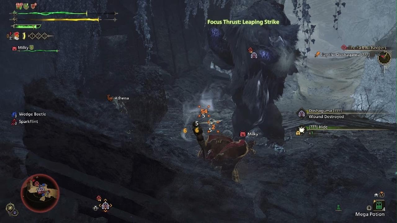 My mhwilds hunts as a new player