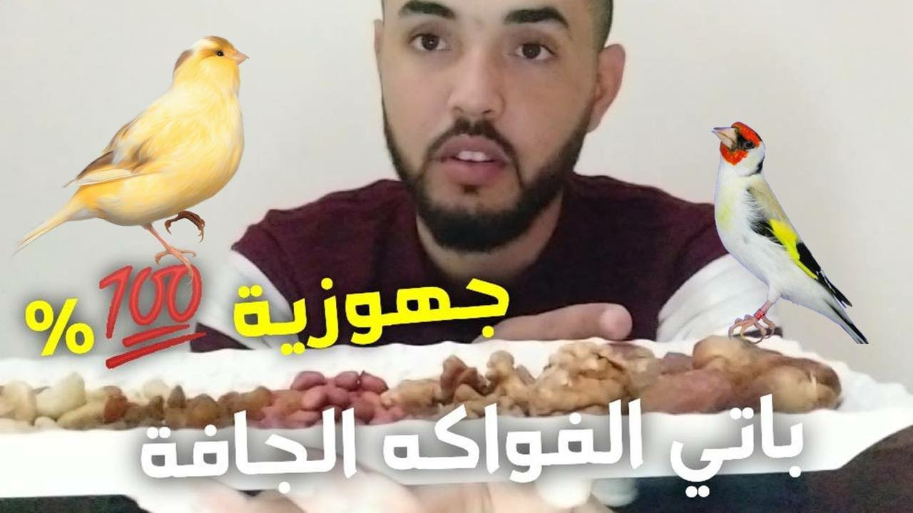 باتي الفواكه الجافة لتجهيز الحسون و الكناري مجرب 100%(الصمدي محمد)