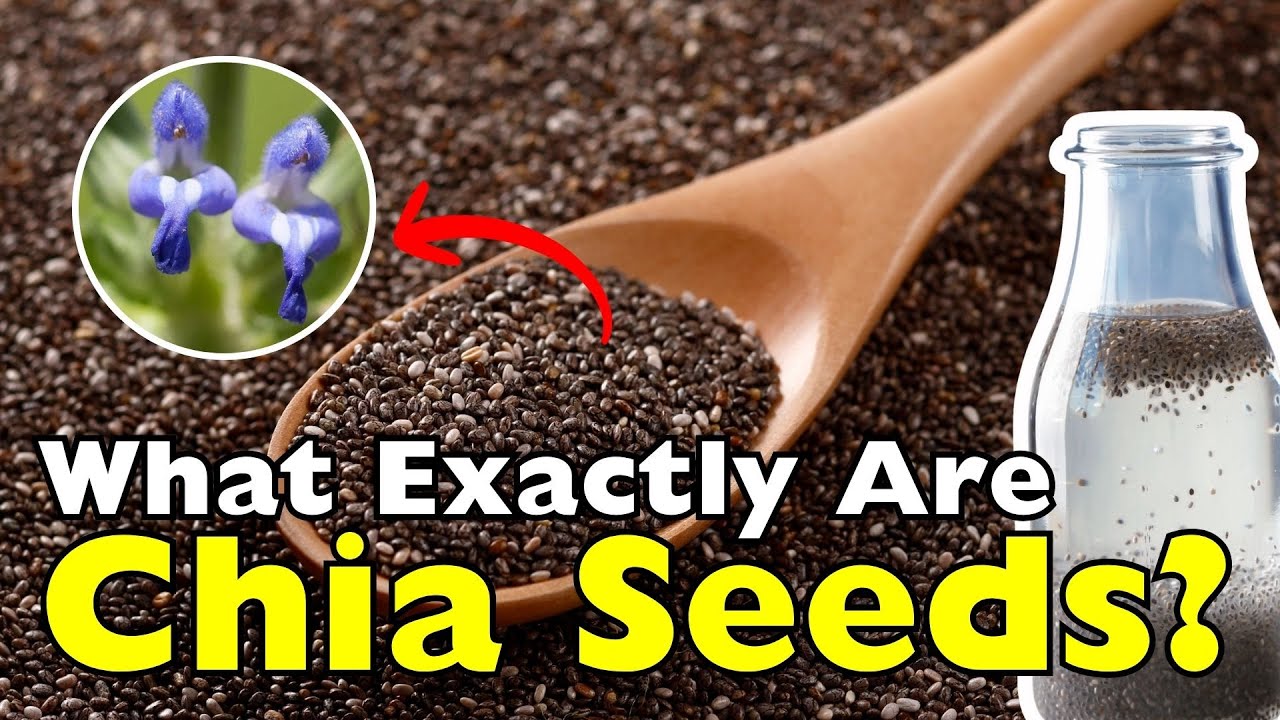 What Exactly Are Chia Seeds? The Truth Behind the Trend
