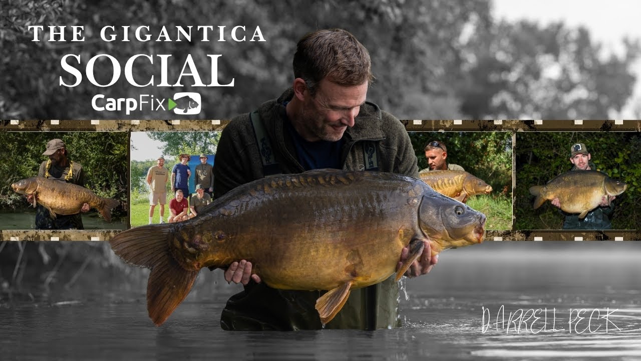 Gigantica Social, Даррелл Пек