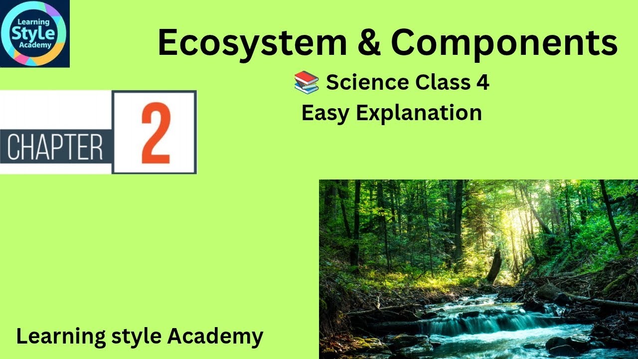 🌿 Ecosystem & Components | Class 4 Science | Ch 2 Easy Explanation