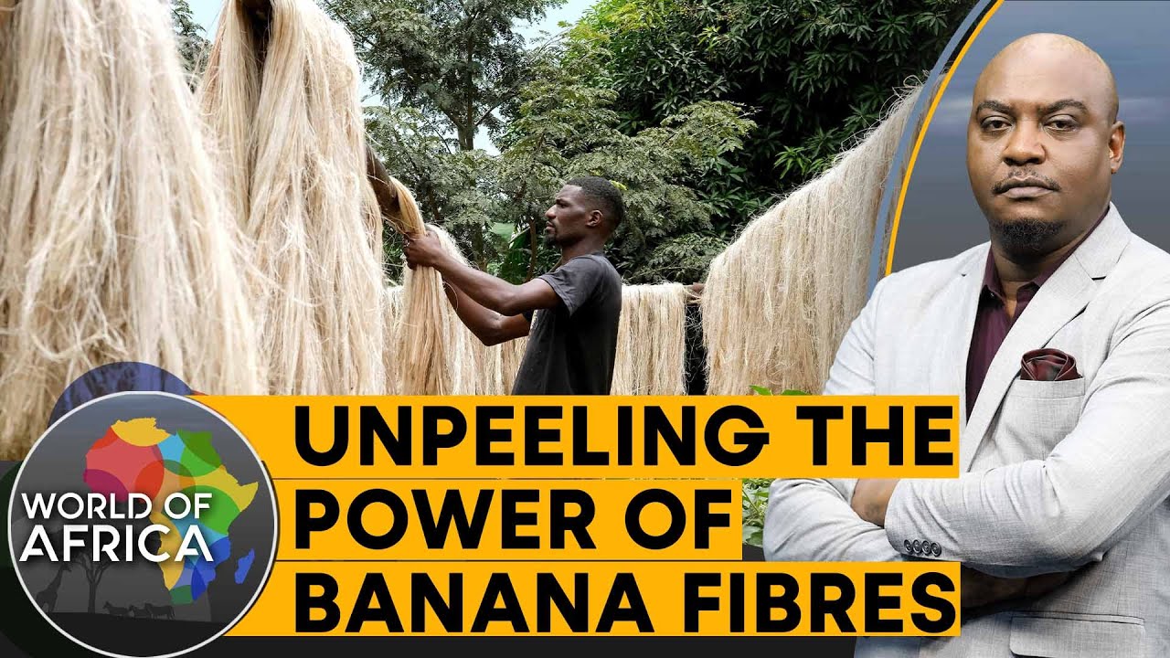 Ugandans turning banana wastes into useful fibres | World Of Africa
