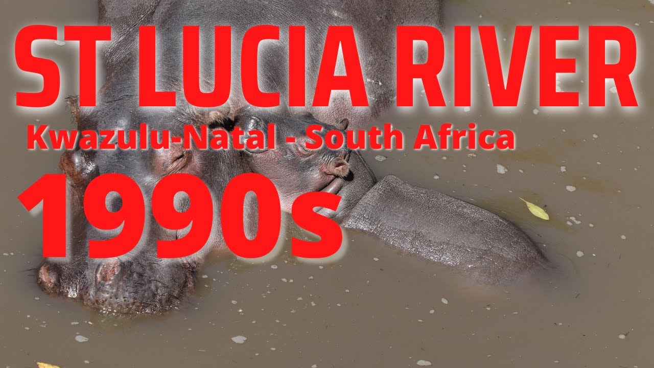 1990s KWAZULU-NATAL SOUTH AFRICA - ST. LUCIA RIVER