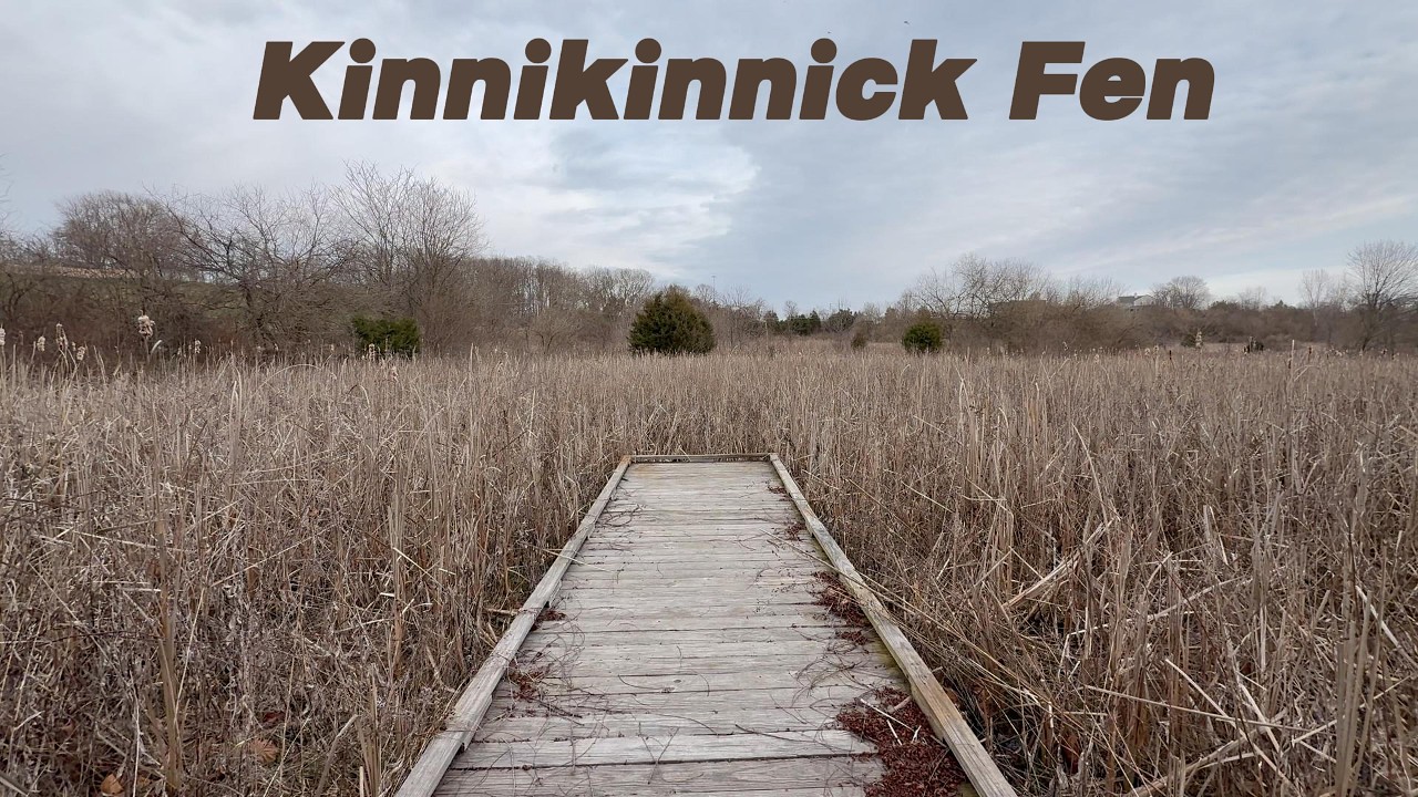 Kinnikinnick Fen