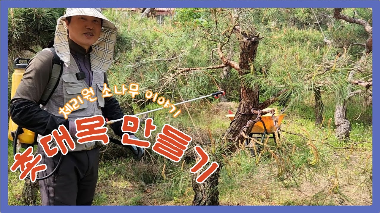 촛대목 만들어 보기