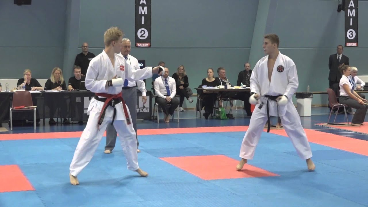 Shobu Ippon Tournament Denmark 2015 - Fight 12