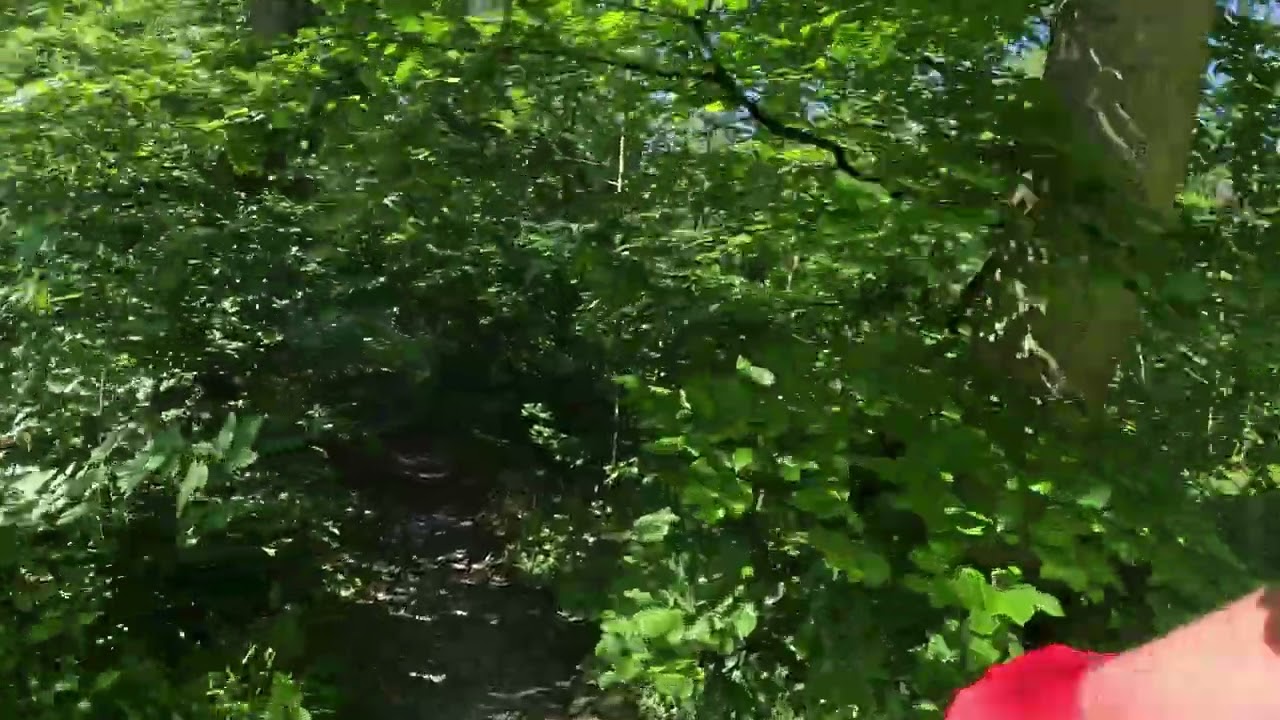 Frankenstein mountain bike