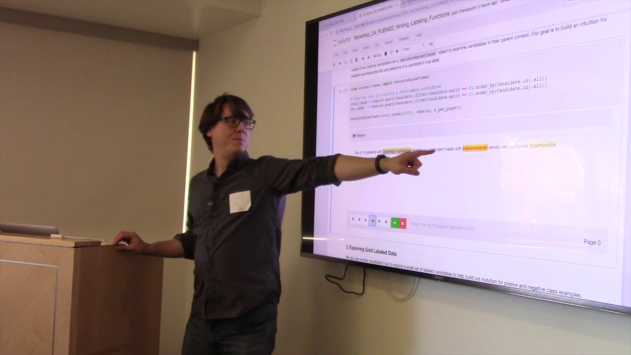Snorkel Workshop 2018: Writing Labeling Functions Tutorial