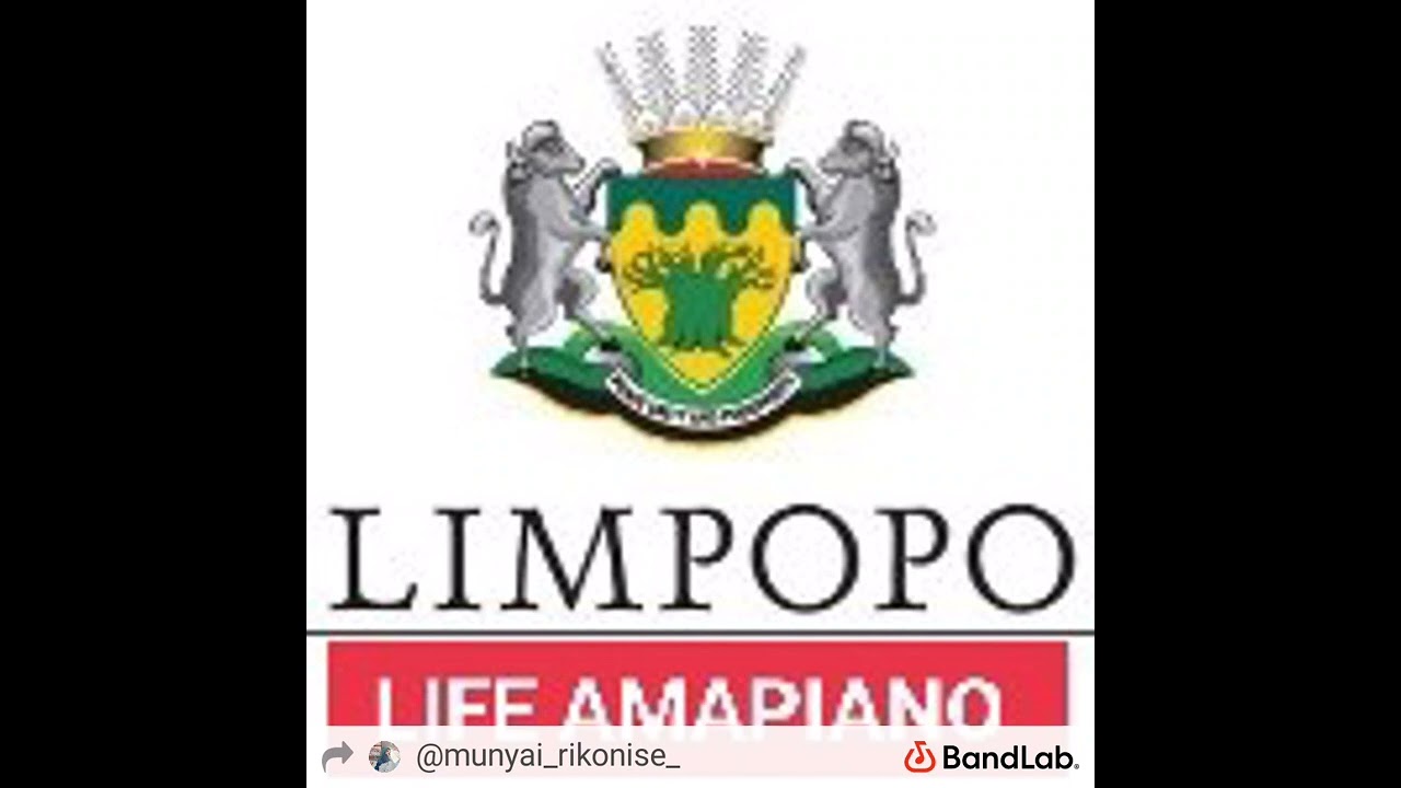 LIMPOPO LIFE AMAPIANO 🤩🕺🥳 by DJ MIXER MUSIC