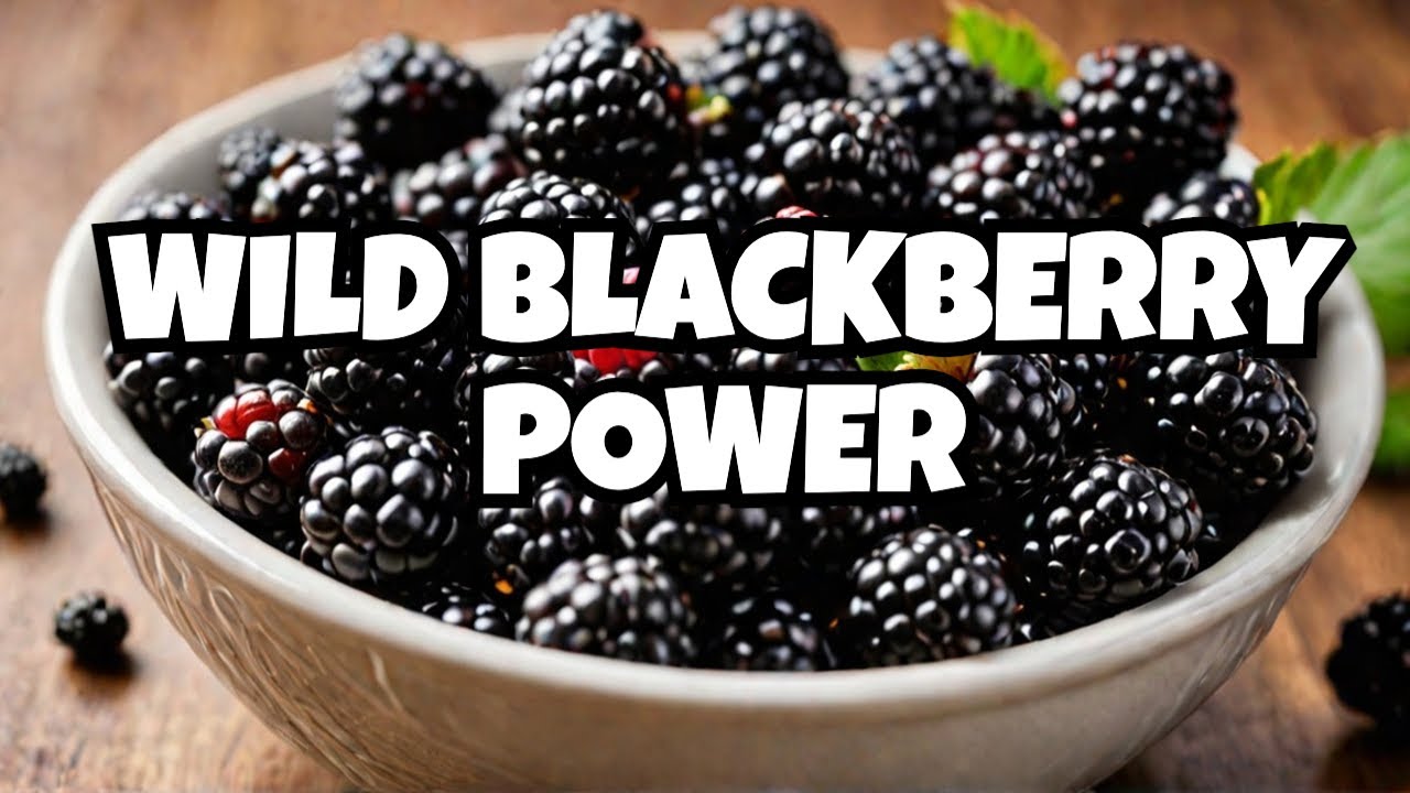 10 reasons why Wild Blackberries are so GOOD for you!