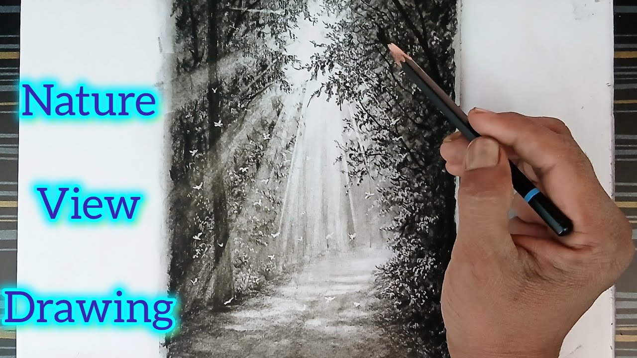 How to draw nature view sunlight landscape by pencil with easy ways.
