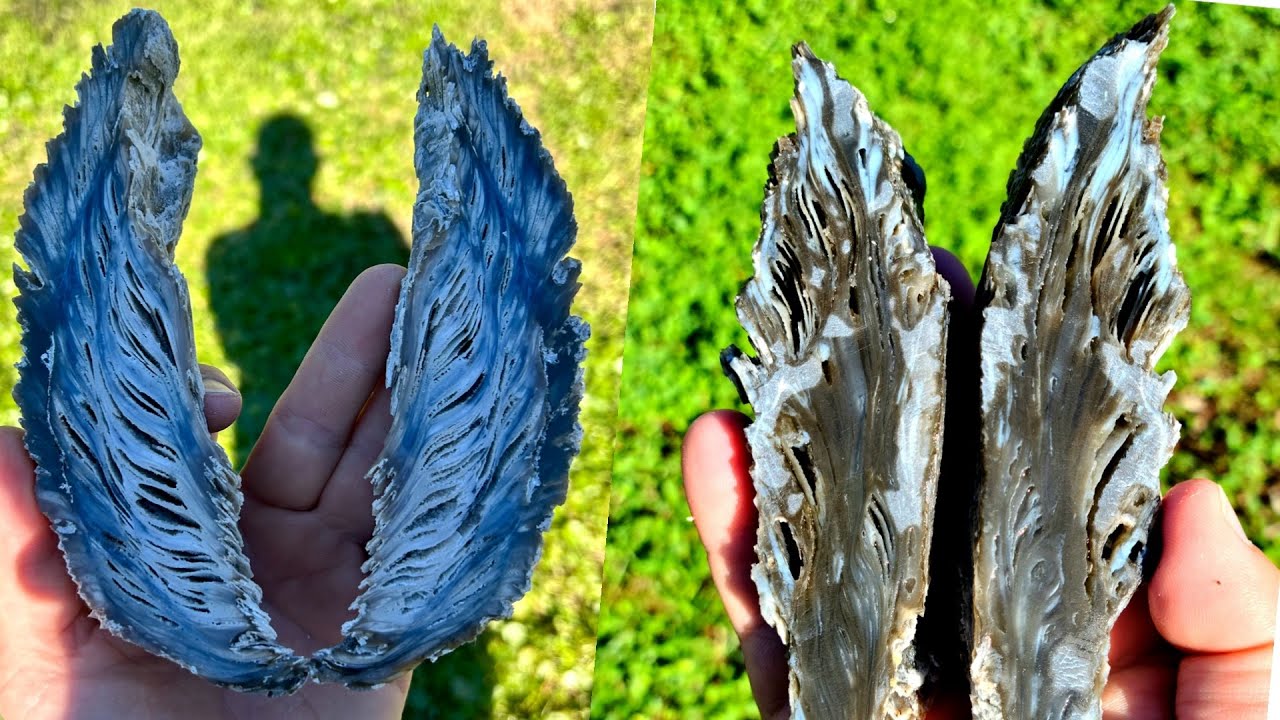 We found Anglewing Agate:  the rarest agate in the world