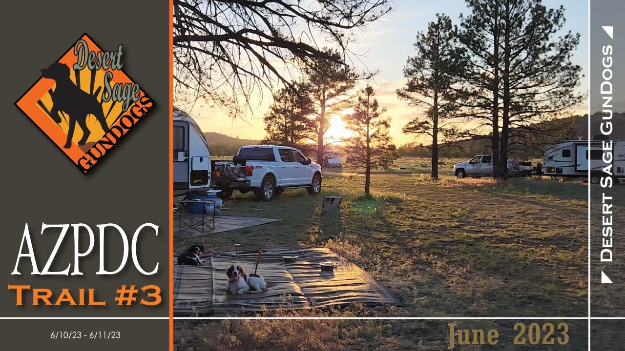 AZPDC Trial #3 - June 2023