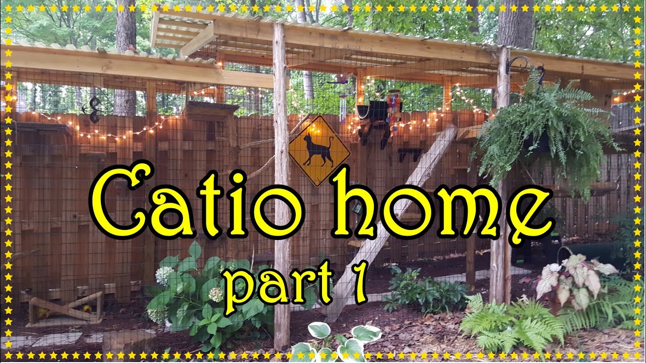 Beautiful Morning ~ New CATIO,  Our 1st Video 🙀