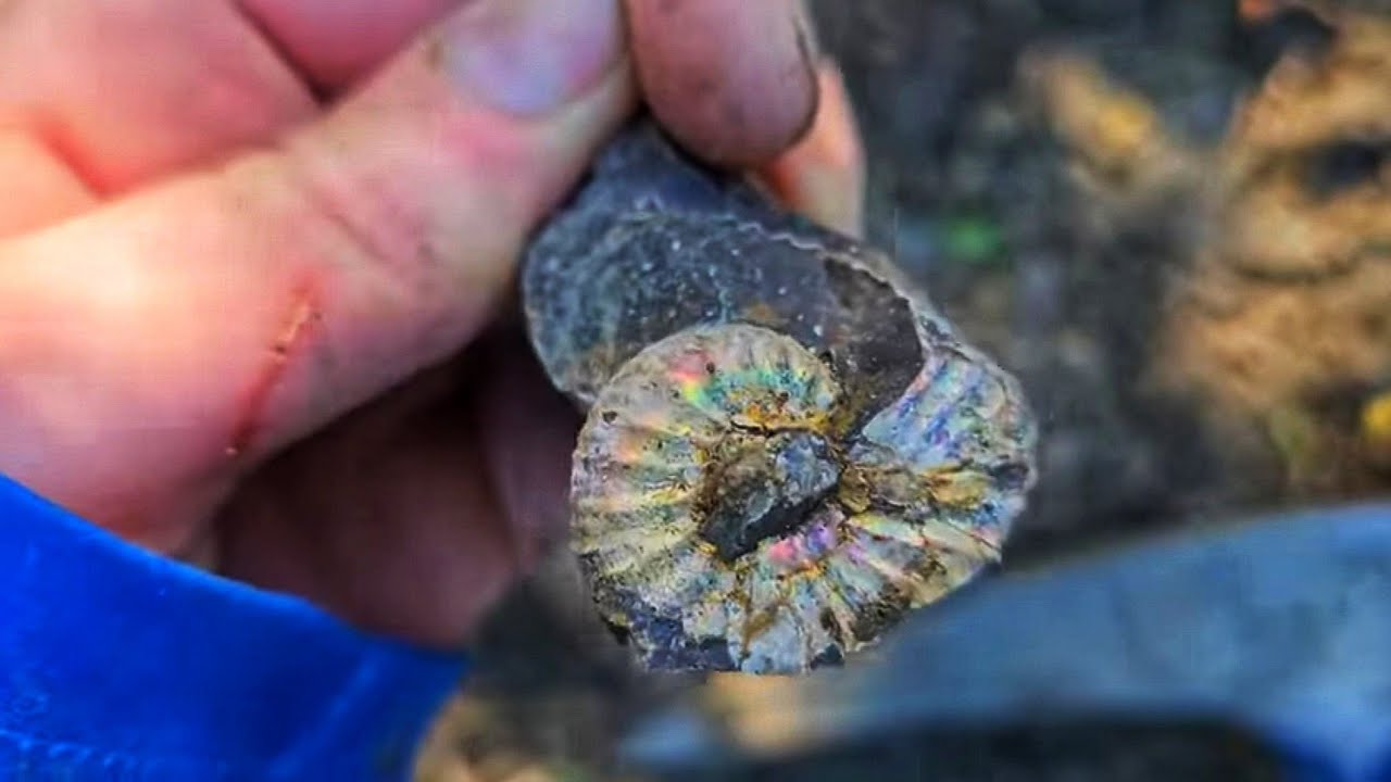 From Fossils To Gemstones: Exploring The Prairie's Treasures