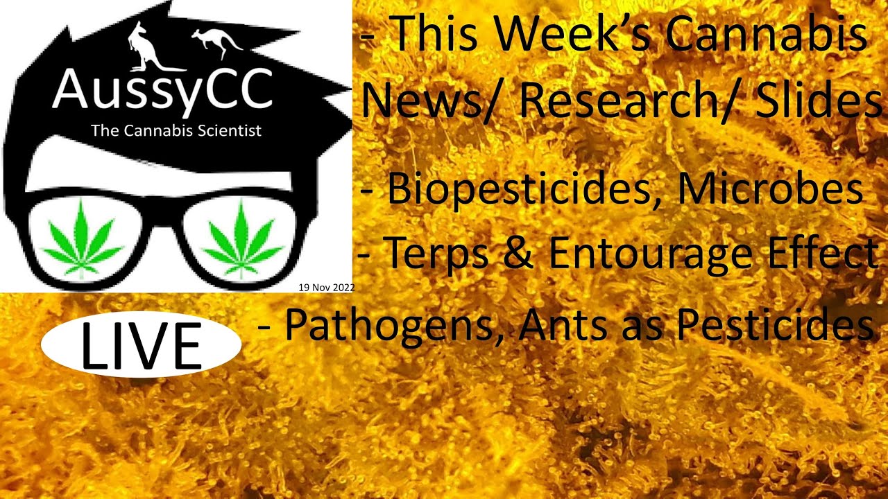 @AussyCC Live ; Bio-pesticides, Microbes, Pathogens, Ants as Pesticides, Terps & Entourage Effect