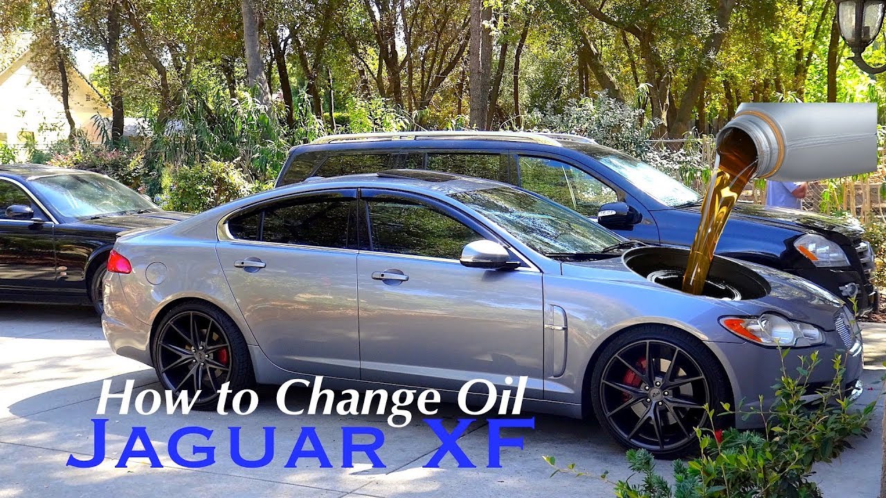 Как заменить масло в Jaguar XF | CarMAN