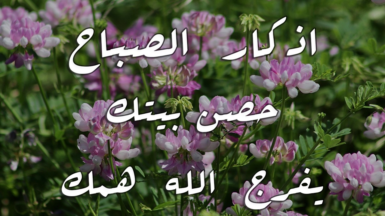 أذكار الصباح - راحة نفسية لا توصف بصوت القارئ علاء عقل | Morning Athkar - Dzkir Pagi by Alaa Aql