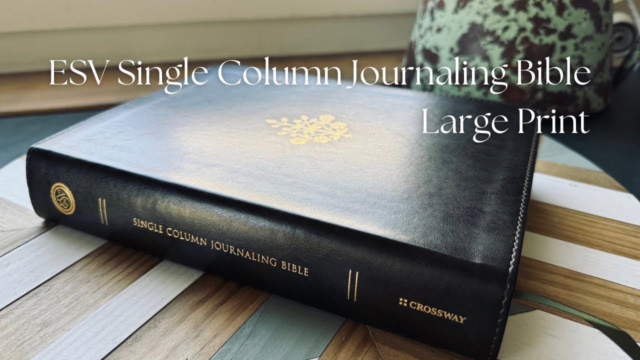 ESV Single Column Journaling Bible Large Print