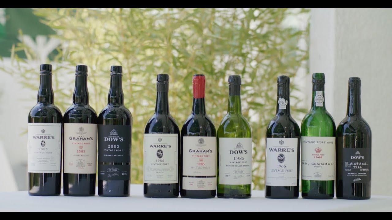 2025 Vintage Port Day in Frankfurt | Symington Family Estates