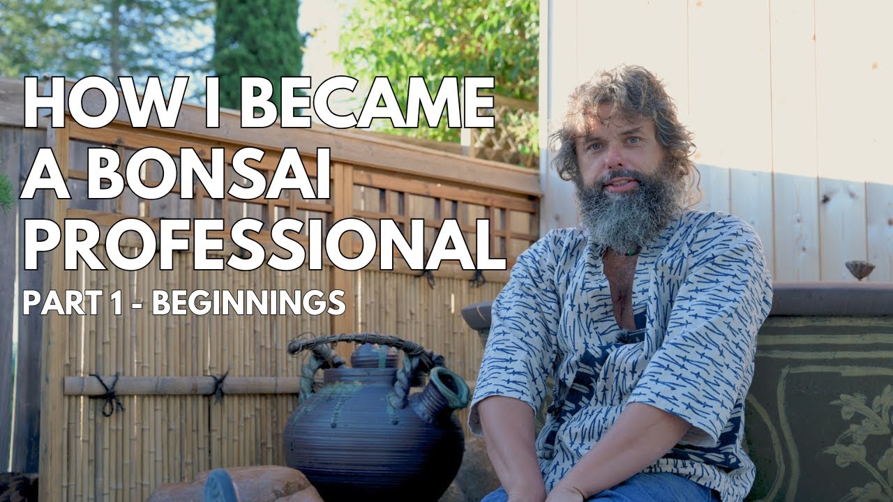 How I became a bonsai professional - beginnings