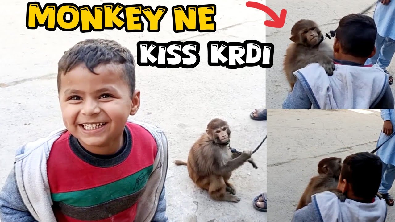 Aj First Time Monkey Ka Tamasha Dekha 