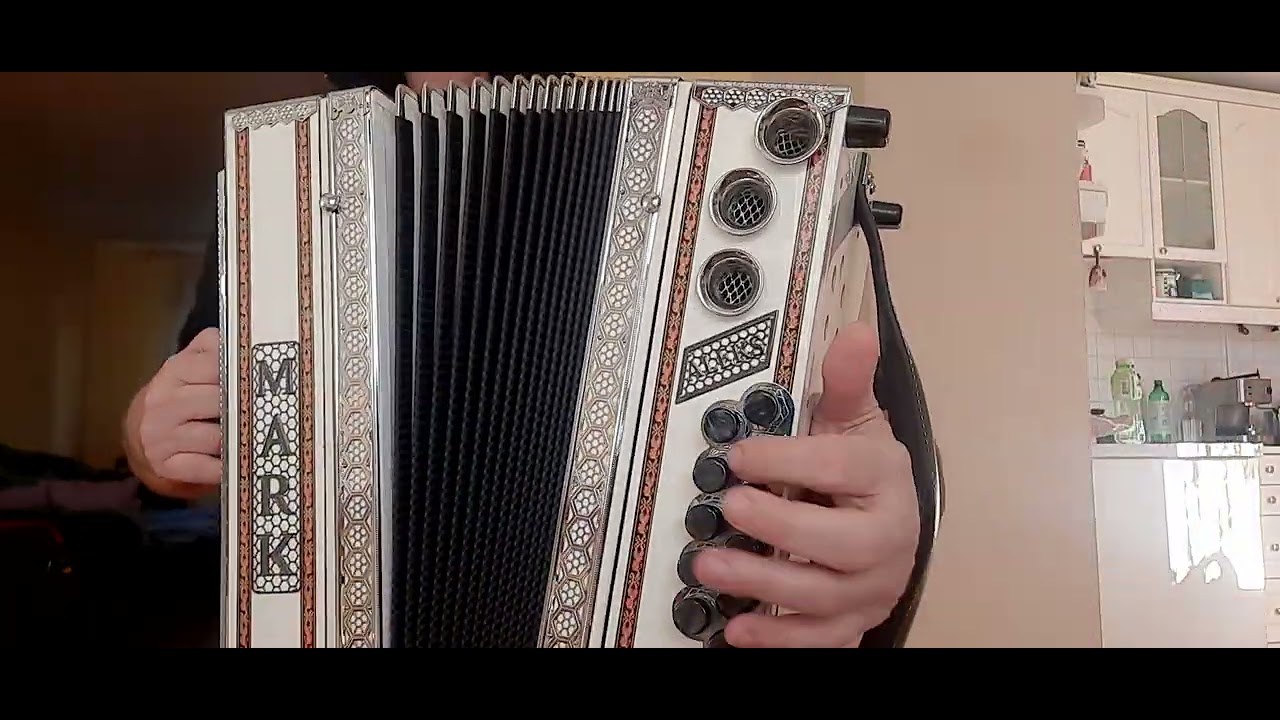 Diatonična harmonika Mark CisFisH