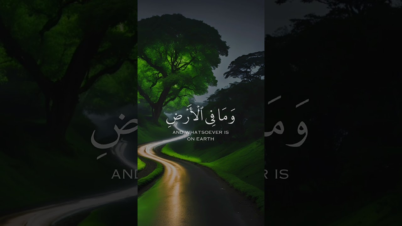 AYAT AL-KURSI | The Throne Verse #quran #quranrecitation #tilawat #allahuakbar