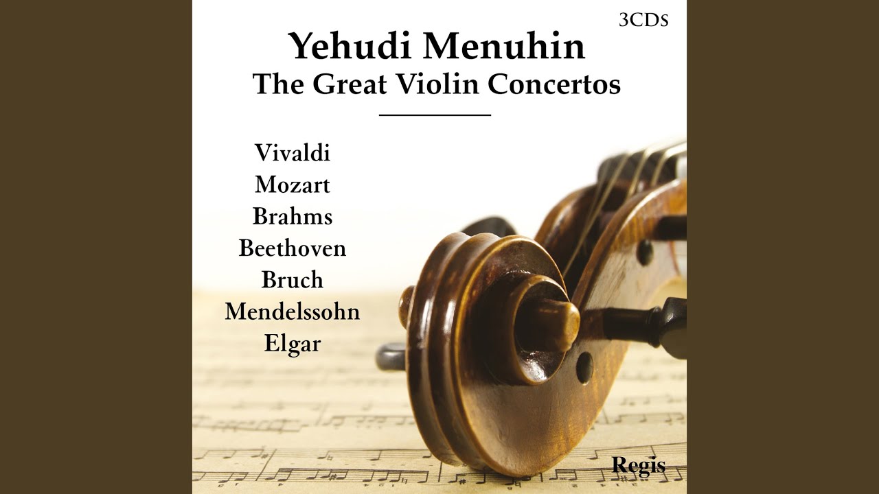 Violin Concerto in G Major, K. 216: II. Allegro - Tempo 2