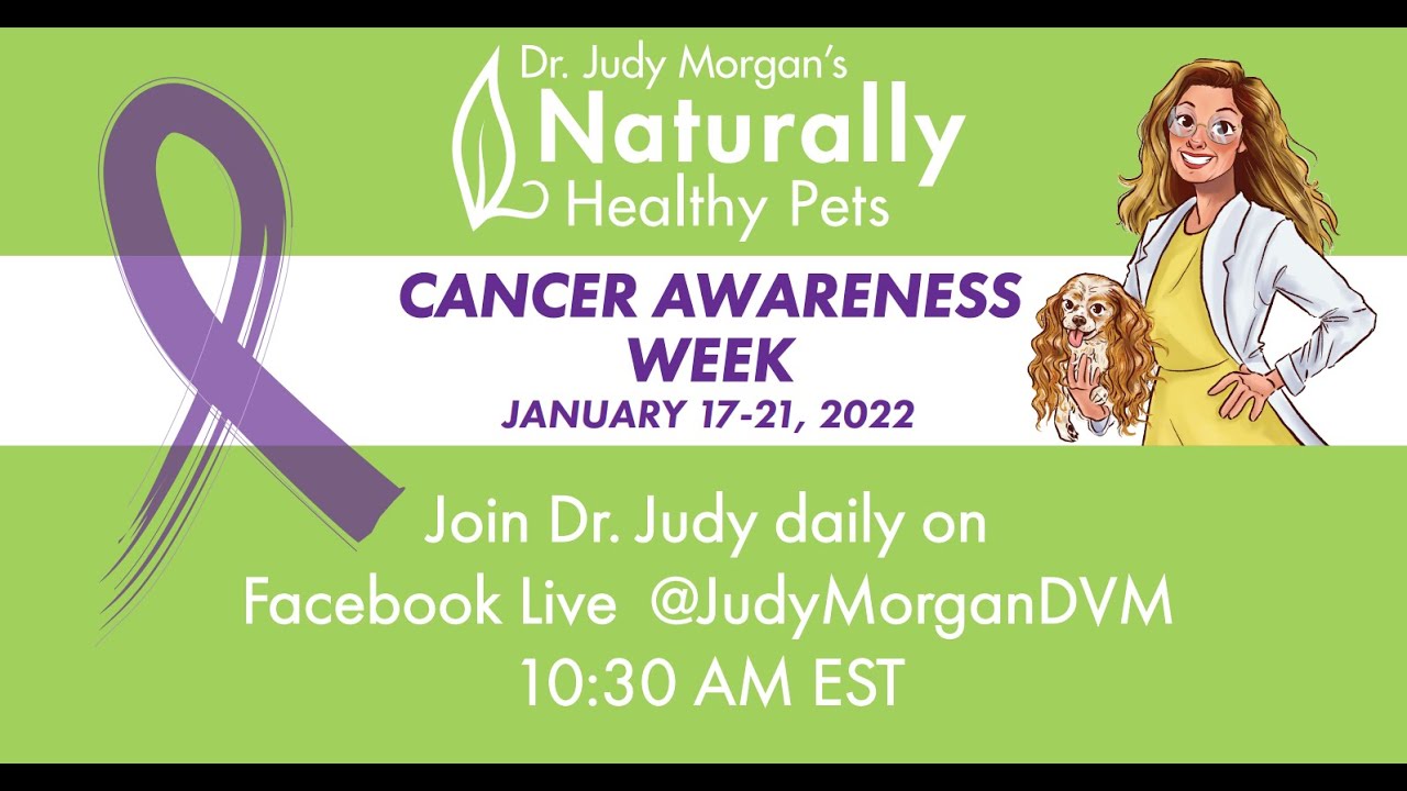 Dr. Judy's Cancer Awareness Week 2022: Diagnostics of Pet Cancer