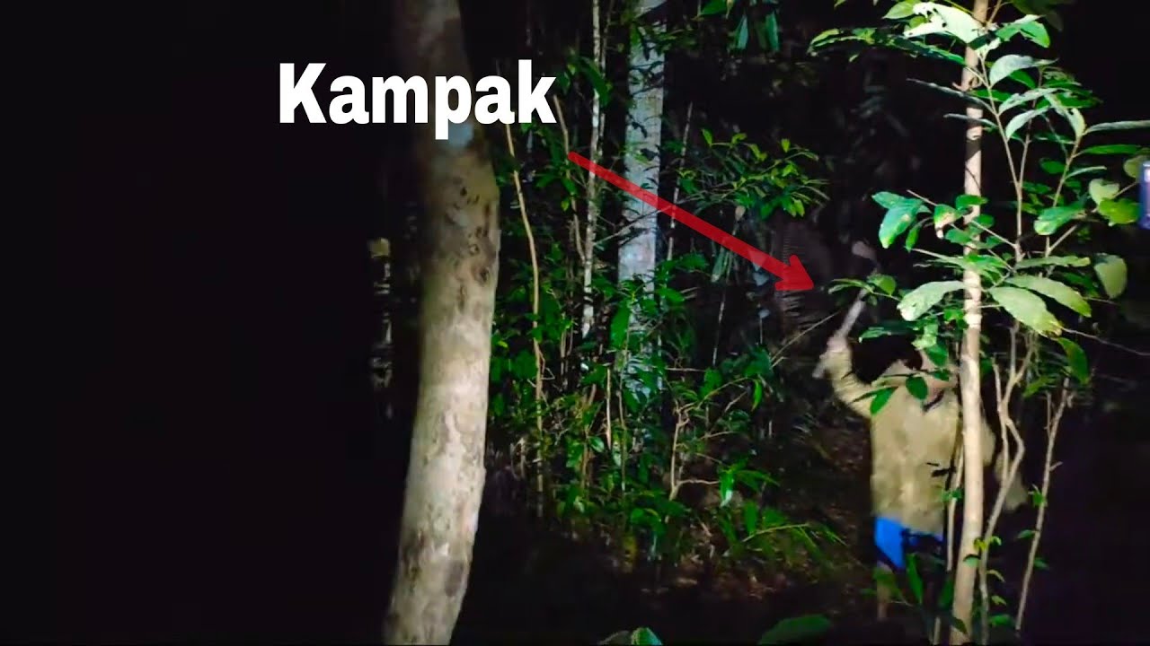 5 Youtuber Kocar-Kacir Dikejar Orang Bawa Kampak