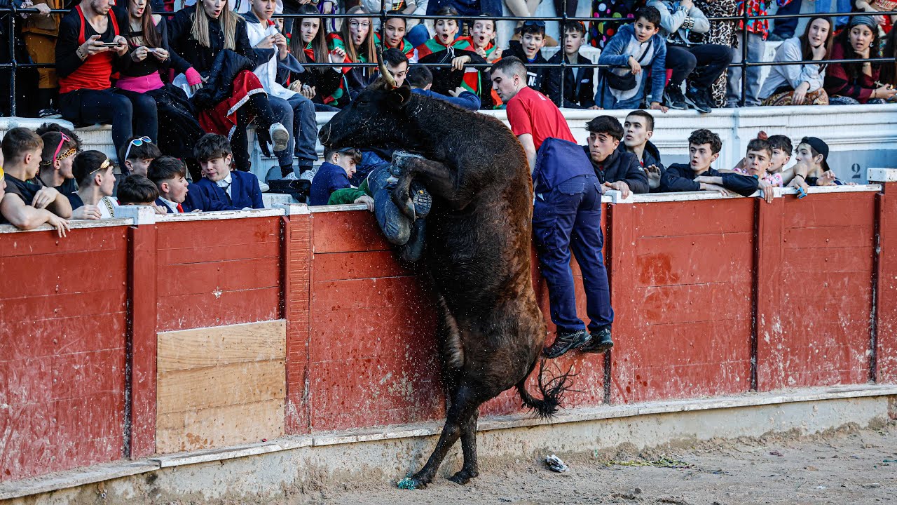 🔥🔥VAQUILLAS CARNAVALES TOLOSA🔥🔥