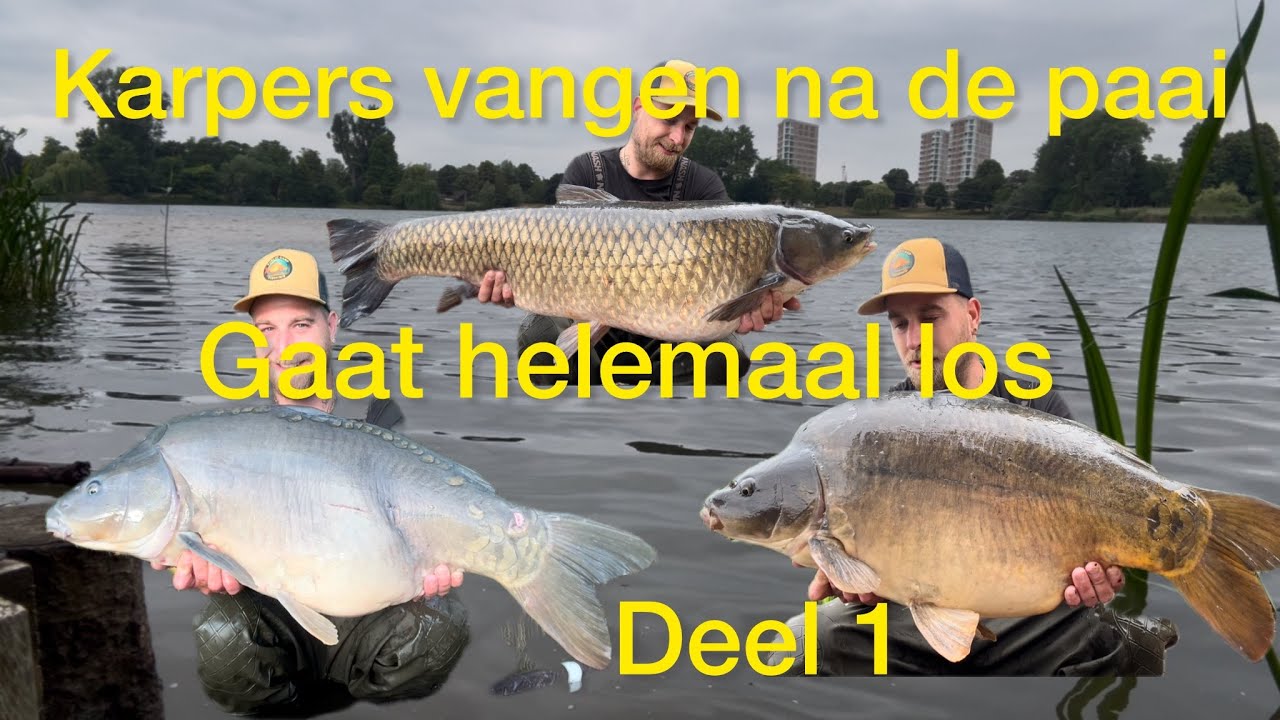 Karpers vangen na de Paai - Gaat Helemaal Los - Deel 1 - Public Carp Fishing