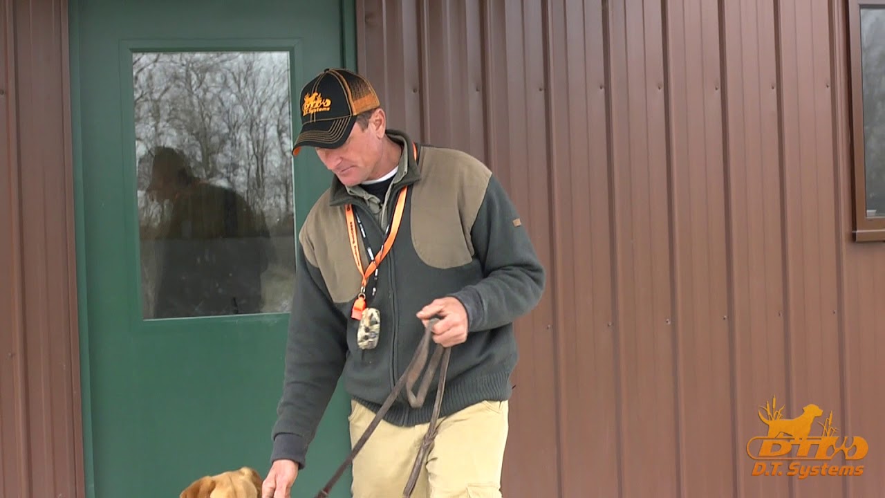 Threshold Training:Obedience for your dog