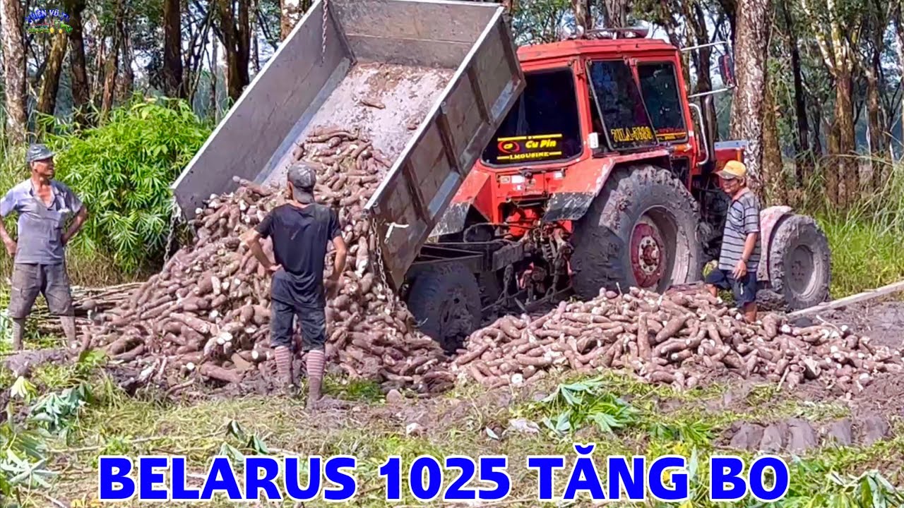 Máy cày belarus 1025 tăng bo củ mì bằng mọt nhỏ inox