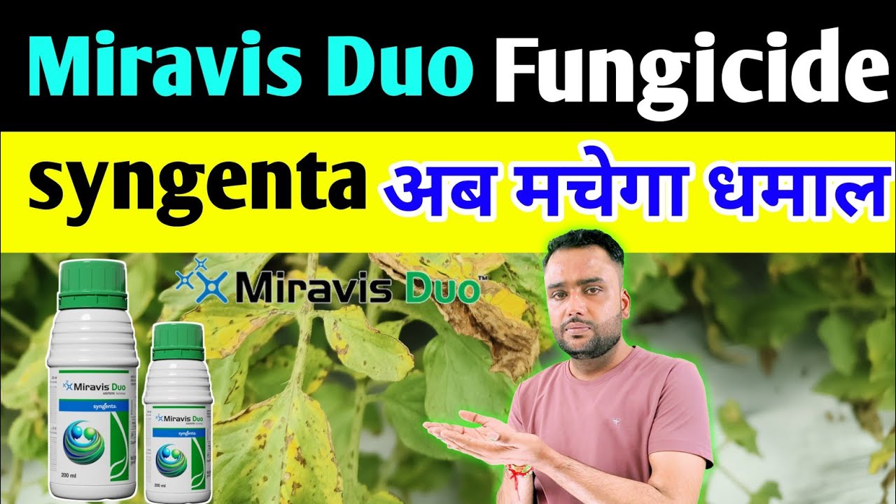Miravis Duo Syngenta New Product | मिराविस डुओ | Miravis Duo Fungicide