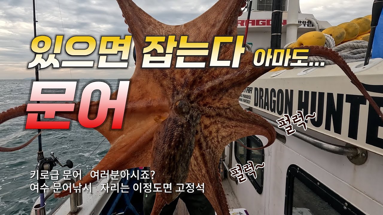 어렵지 않아요 문어낚시 | 있으면 잡는다... 아마도 | 여수 문어낚시