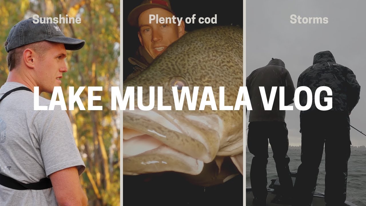 Chasing Murray Cod for 24 Hours - Highs, Lows & Huge Fish!