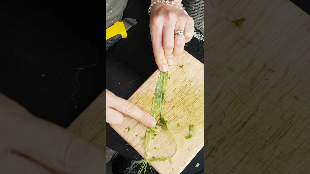 harvesting muka