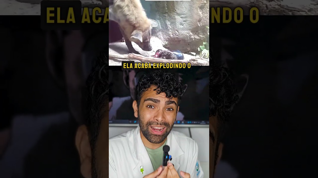 O parto mais bizarro da natureza 💀😨 #biologiaanimal #ciencia #biologia #hiena