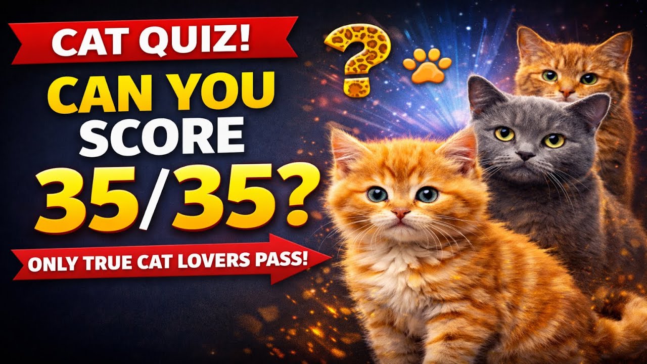 35 CAT 😼 🐾 QUIZ Questions - | How many can you answer? #quizchallenge #mindbendingquiz #dailyquiz